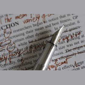 partial-rewriting-language-improvement Partial rewriting & language improvement – $8/page